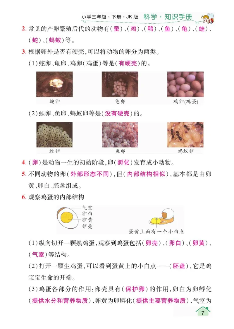 天天向上3下知识手册_三年级上下册资料_小学三年级学习资料-25年更新版_3-10、小学三年级科学下册_教科版_知识点