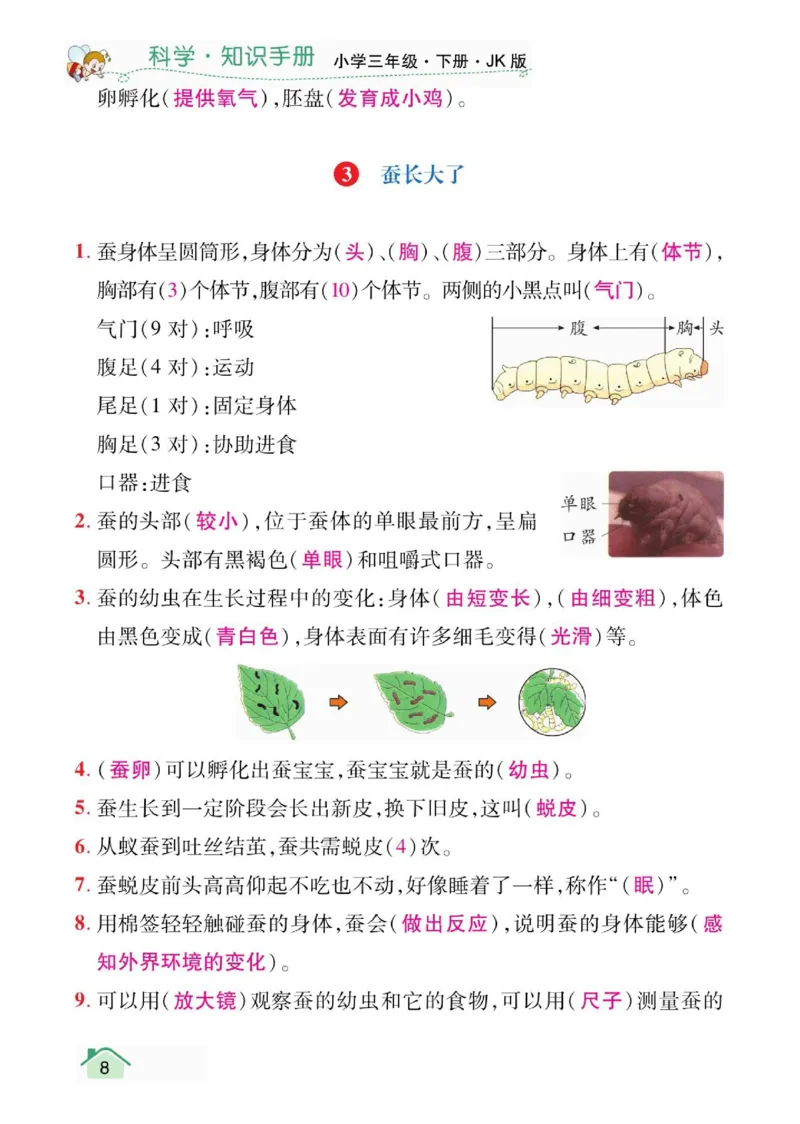 天天向上3下知识手册_三年级上下册资料_小学三年级学习资料-25年更新版_3-10、小学三年级科学下册_教科版_知识点