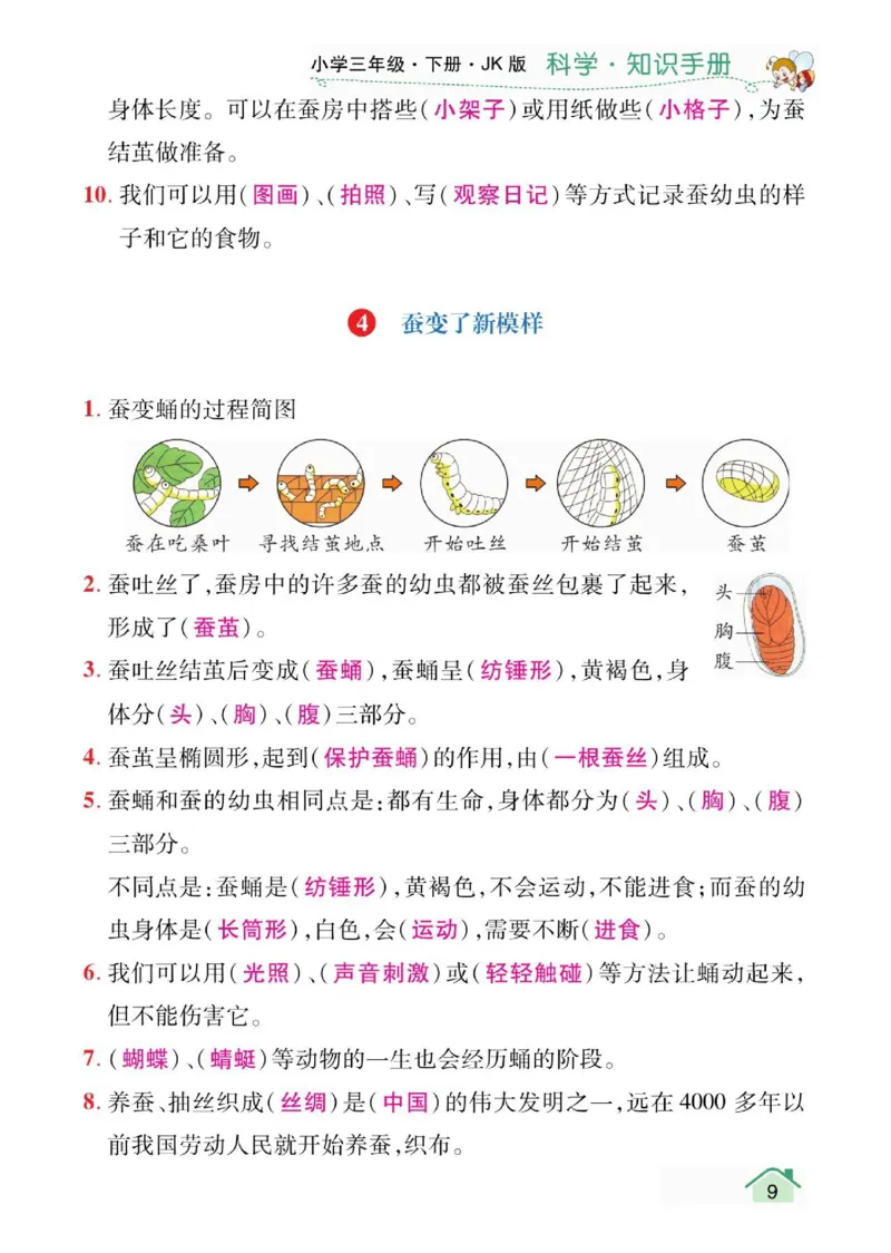 天天向上3下知识手册_三年级上下册资料_小学三年级学习资料-25年更新版_3-10、小学三年级科学下册_教科版_知识点