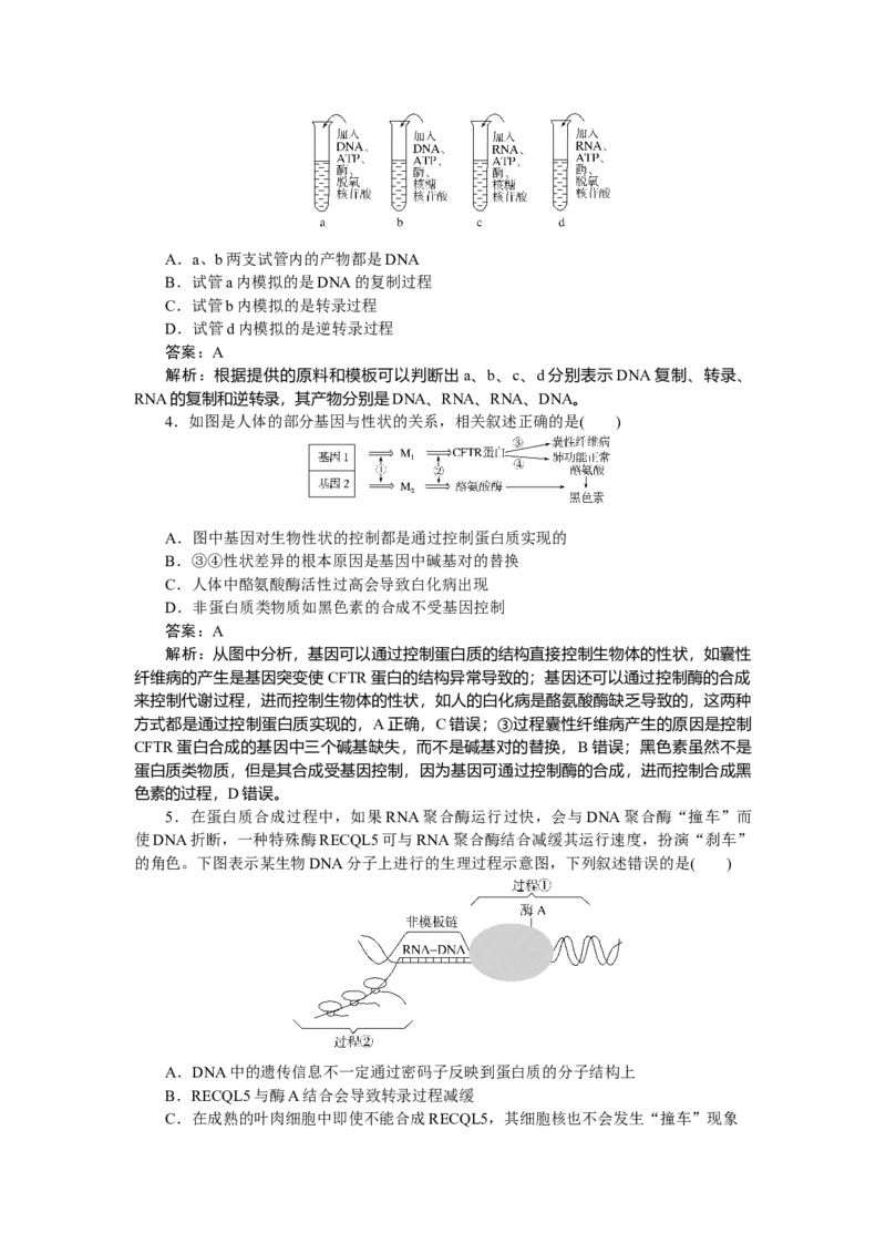 专练52_2025高中教辅（后续还会更新新习题试卷）_2025高中全科《微专题&middot;小练习》_2025高中全科《微专题小练习》_2025版&middot;微专题小练习&middot;生物学&middot;