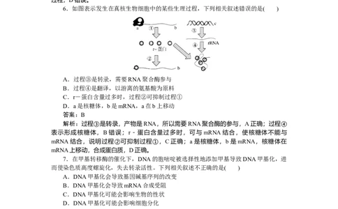 专练52_2025高中教辅（后续还会更新新习题试卷）_2025高中全科《微专题&middot;小练习》_2025高中全科《微专题小练习》_2025版&middot;微专题小练习&middot;生物学&middot;