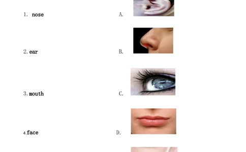 人教（新起点）一年级上册第一到第三单元测试_一年级上下册资料_小学一年级学习资料-25年更新版_1-05、小学一年级英语上册_人教版一起点_单元测试卷