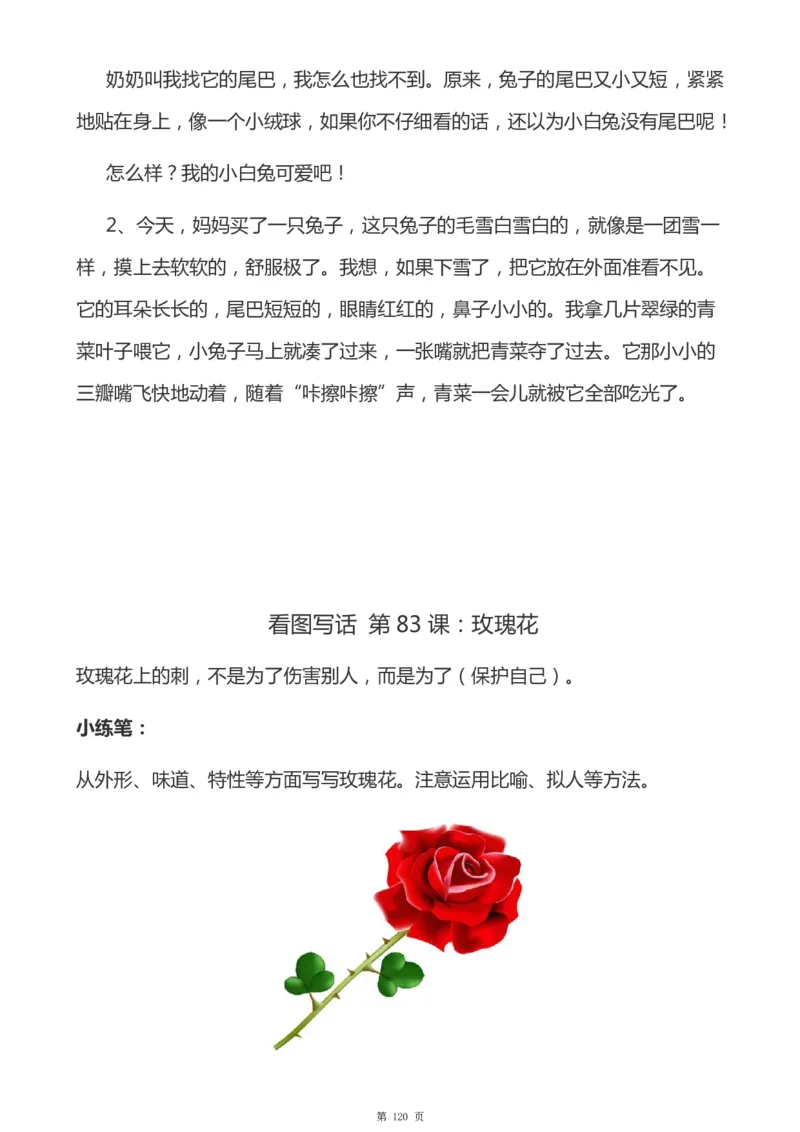 一年级天天小练笔看图说话-解析_一年级上下册资料_小学一年级学习资料-25年更新版_1-00、幼小衔接_幼小衔接看图写话启蒙篇