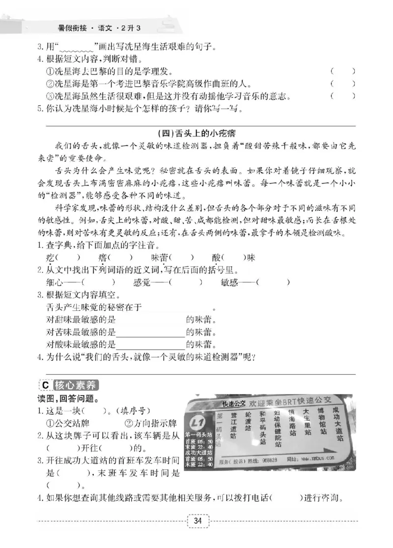 小学语文2升3衔接复习巩固+课时预习_三年级上下册资料_小学三年级学习资料-25年更新版_3-12、寒暑假大礼包_暑假
