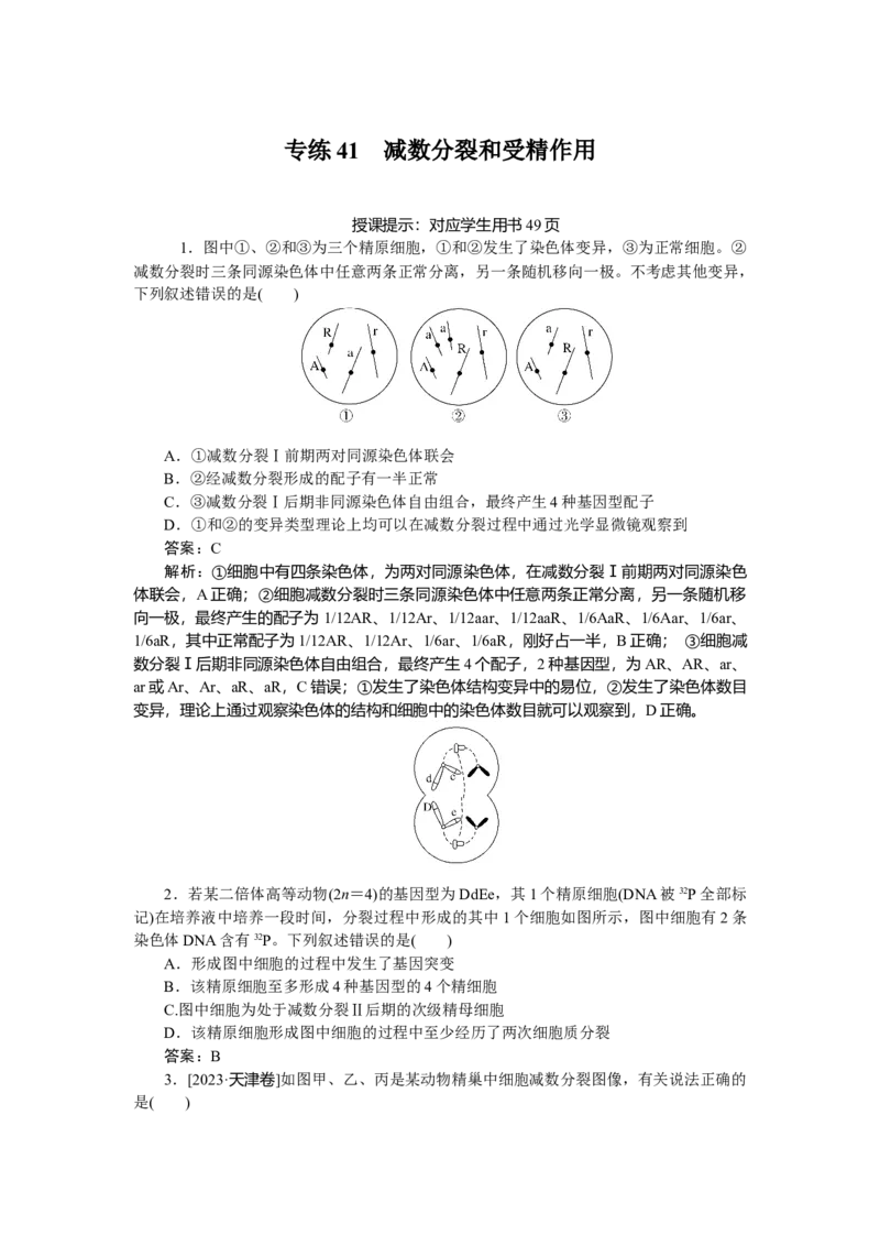 专练41_2025高中教辅（后续还会更新新习题试卷）_2025高中全科《微专题&middot;小练习》_2025高中全科《微专题小练习》_2025版&middot;微专题小练习&middot;生物学&middot;
