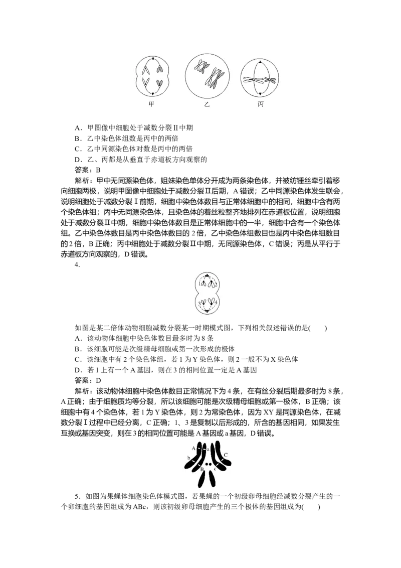 专练41_2025高中教辅（后续还会更新新习题试卷）_2025高中全科《微专题&middot;小练习》_2025高中全科《微专题小练习》_2025版&middot;微专题小练习&middot;生物学&middot;
