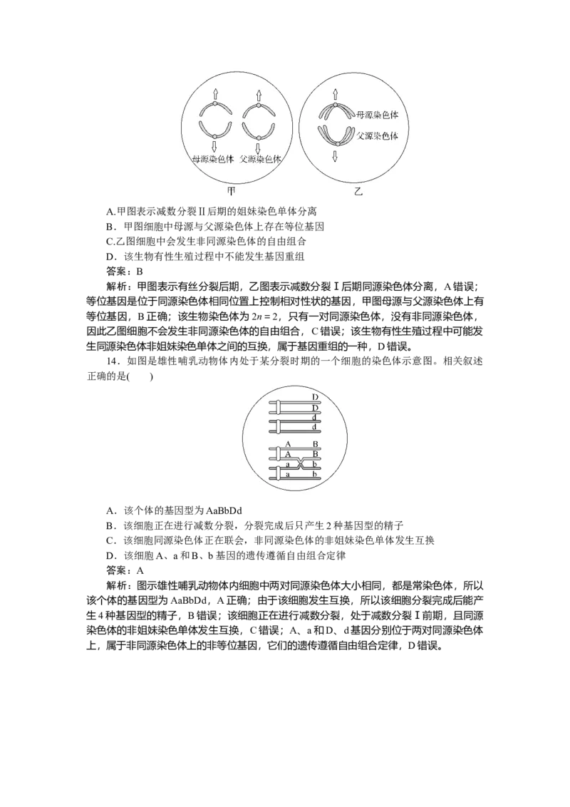 专练41_2025高中教辅（后续还会更新新习题试卷）_2025高中全科《微专题&middot;小练习》_2025高中全科《微专题小练习》_2025版&middot;微专题小练习&middot;生物学&middot;