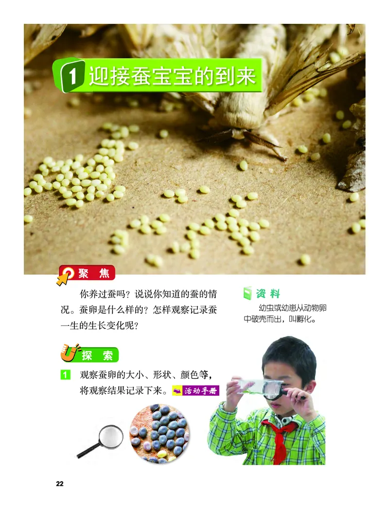 义务教育教科书&middot;科学三年级下册（教科版）_三年级上下册资料_小学三年级学习资料-25年更新版_3-10、小学三年级科学下册_教科版_电子教材