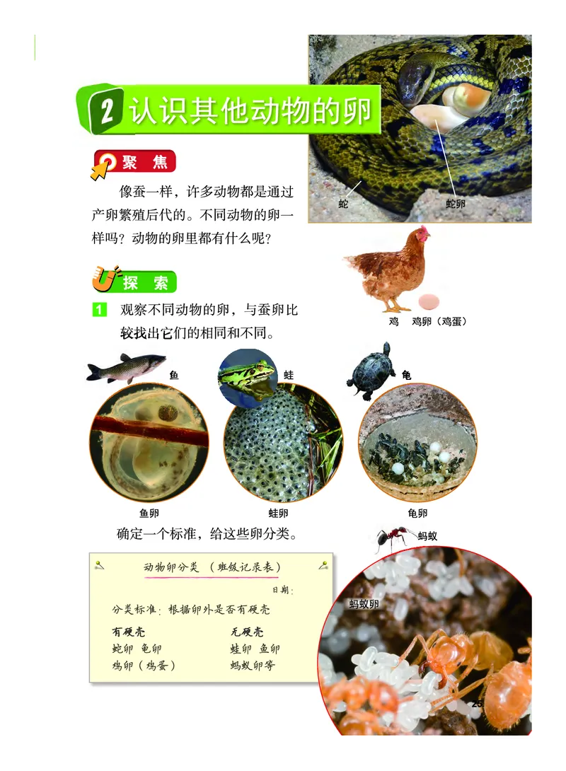 义务教育教科书&middot;科学三年级下册（教科版）_三年级上下册资料_小学三年级学习资料-25年更新版_3-10、小学三年级科学下册_教科版_电子教材