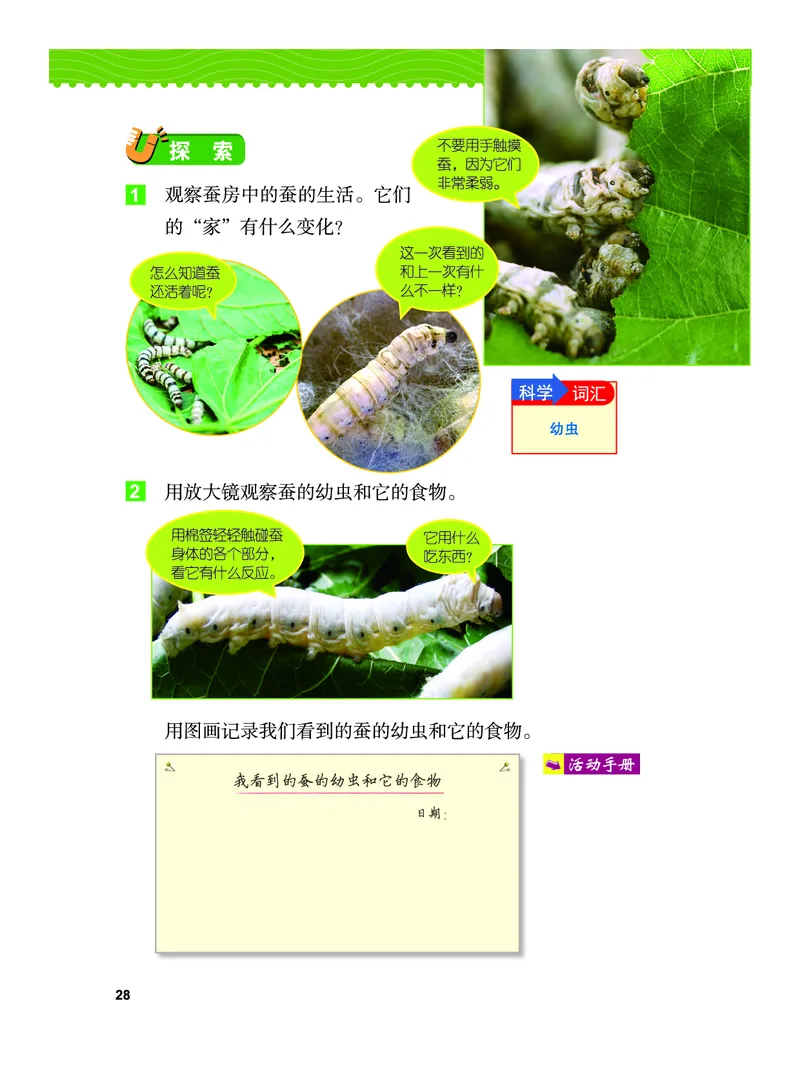 义务教育教科书&middot;科学三年级下册（教科版）_三年级上下册资料_小学三年级学习资料-25年更新版_3-10、小学三年级科学下册_教科版_电子教材