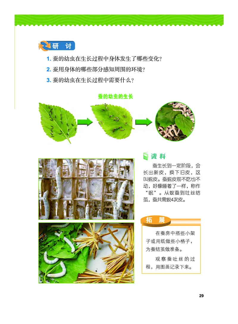 义务教育教科书&middot;科学三年级下册（教科版）_三年级上下册资料_小学三年级学习资料-25年更新版_3-10、小学三年级科学下册_教科版_电子教材