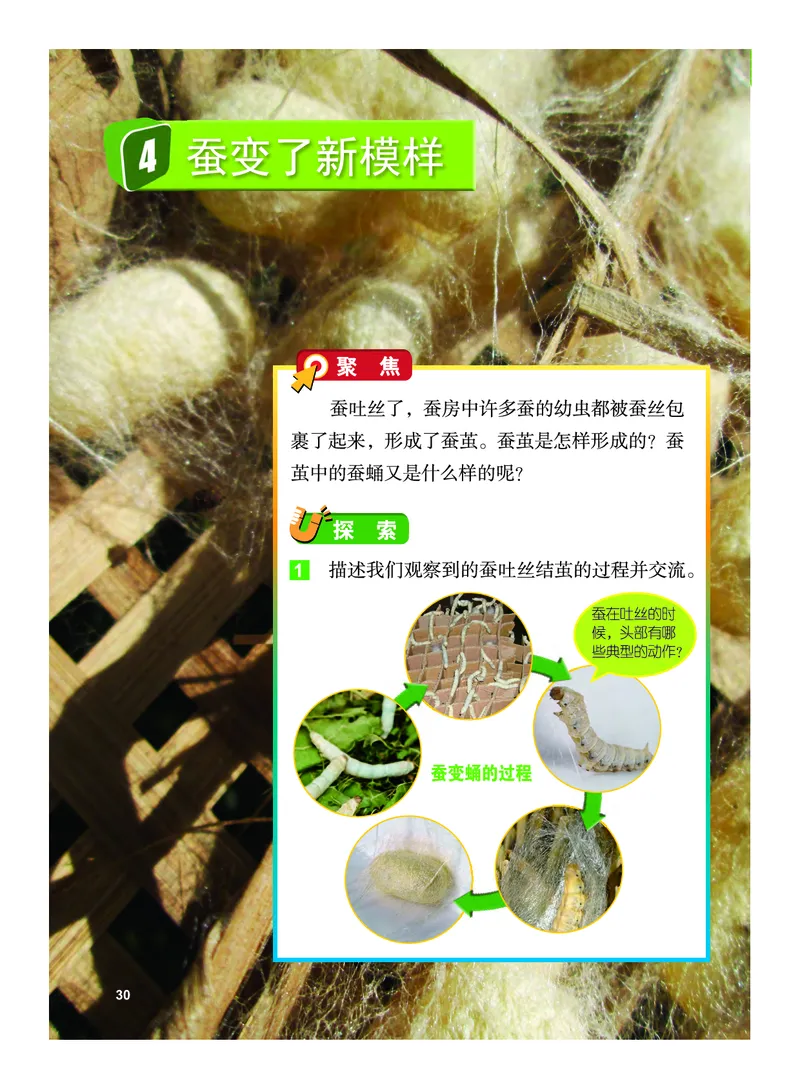 义务教育教科书&middot;科学三年级下册（教科版）_三年级上下册资料_小学三年级学习资料-25年更新版_3-10、小学三年级科学下册_教科版_电子教材