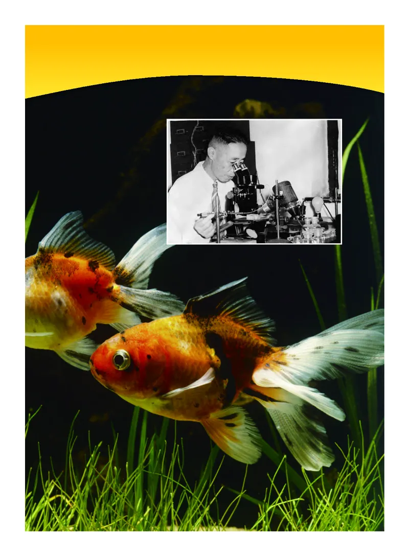 义务教育教科书&middot;科学三年级下册（教科版）_三年级上下册资料_小学三年级学习资料-25年更新版_3-10、小学三年级科学下册_教科版_电子教材