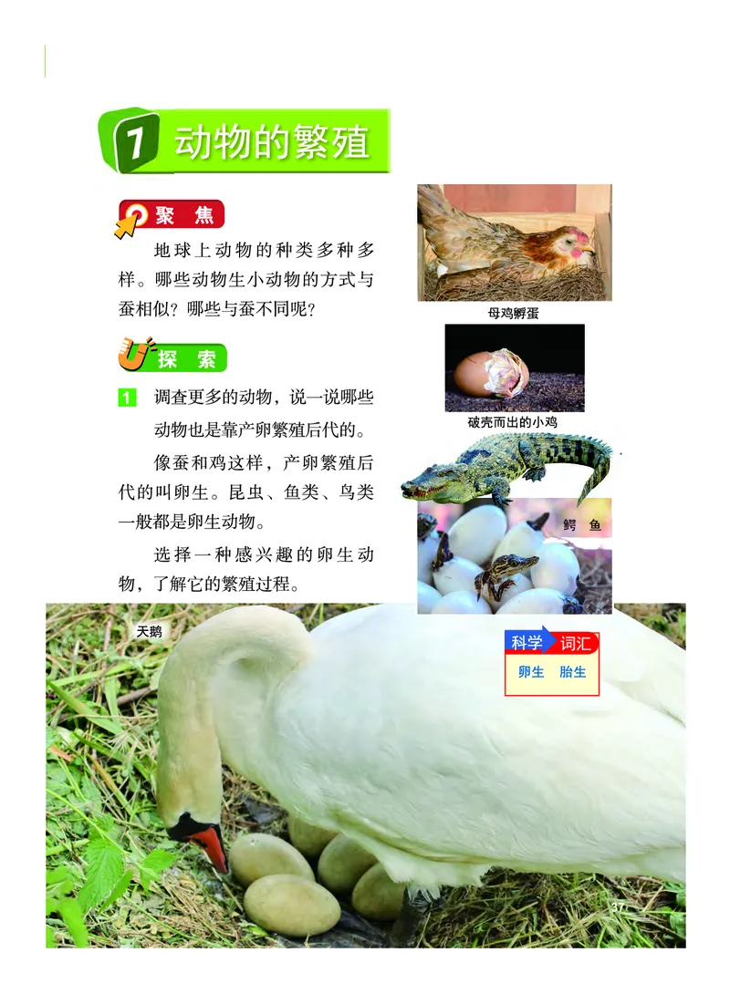 义务教育教科书&middot;科学三年级下册（教科版）_三年级上下册资料_小学三年级学习资料-25年更新版_3-10、小学三年级科学下册_教科版_电子教材