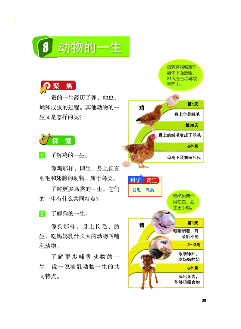 义务教育教科书&middot;科学三年级下册（教科版）_三年级上下册资料_小学三年级学习资料-25年更新版_3-10、小学三年级科学下册_教科版_电子教材