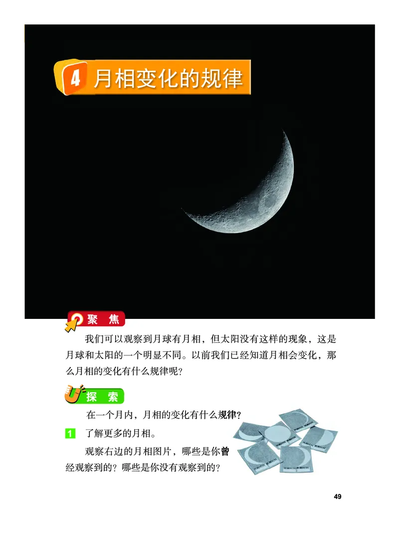 义务教育教科书&middot;科学三年级下册（教科版）_三年级上下册资料_小学三年级学习资料-25年更新版_3-10、小学三年级科学下册_教科版_电子教材