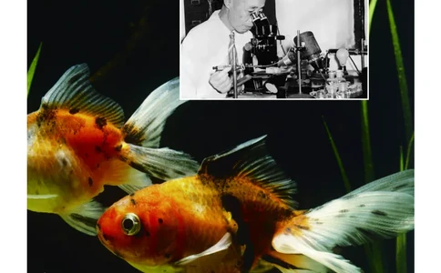 义务教育教科书&middot;科学三年级下册（教科版）_三年级上下册资料_小学三年级学习资料-25年更新版_3-10、小学三年级科学下册_教科版_电子教材