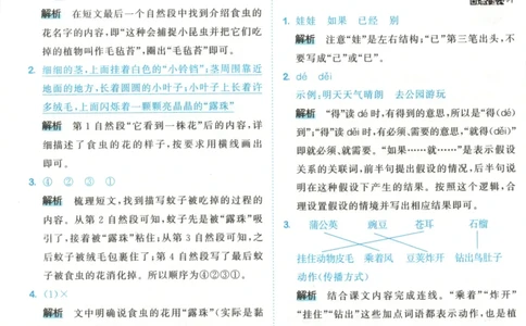二年级语文上册人教版25秋《53天天练》答案_25秋小学语数英习题试卷_语文_1-6年级语文上册人教版25秋《53天天练》_二年级语文上册人教版25秋《53天天练》