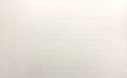 新文档20190420171949509_小学生作文专项名师课合集16套小学~视频+PDF_022.跟谁学无忧作文_01外貌写活四大方法