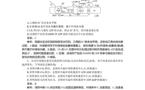 专练26_2025高中教辅（后续还会更新新习题试卷）_2025高中全科《微专题&middot;小练习》_2025高中全科《微专题小练习》_2025版&middot;微专题小练习&middot;生物学&middot;