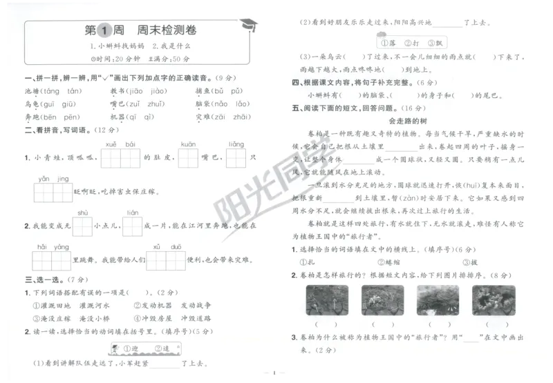 二年级语文上册人教版25秋《阳光同学提优新卷》周末小测卷_25秋小学语数英习题试卷_语文_语文《阳光同学提优新卷》_二年级语文上册人教版25秋《阳光同学提优新卷》