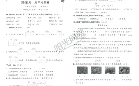二年级语文上册人教版25秋《阳光同学提优新卷》周末小测卷_25秋小学语数英习题试卷_语文_语文《阳光同学提优新卷》_二年级语文上册人教版25秋《阳光同学提优新卷》