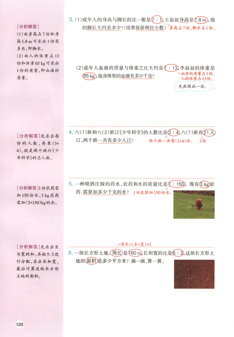 义务教育教科书&middot;英语（人教精通版）三年级上册_三年级上下册资料_小学三年级学习资料-25年更新版_3-05、小学三年级英语上册_3-5-3、电子教材、课本