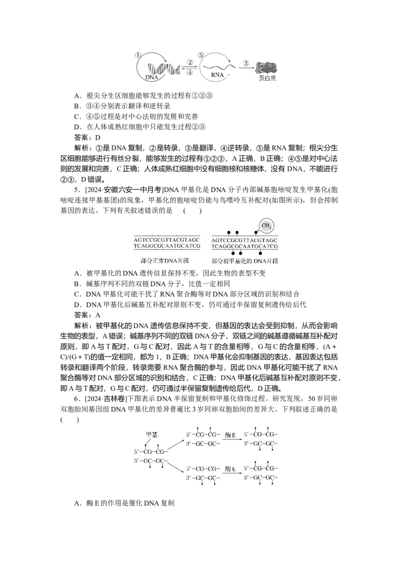 专练51_2025高中教辅（后续还会更新新习题试卷）_2025高中全科《微专题&middot;小练习》_2025高中全科《微专题小练习》_2025版&middot;微专题小练习&middot;生物学&middot;