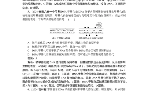 专练51_2025高中教辅（后续还会更新新习题试卷）_2025高中全科《微专题&middot;小练习》_2025高中全科《微专题小练习》_2025版&middot;微专题小练习&middot;生物学&middot;