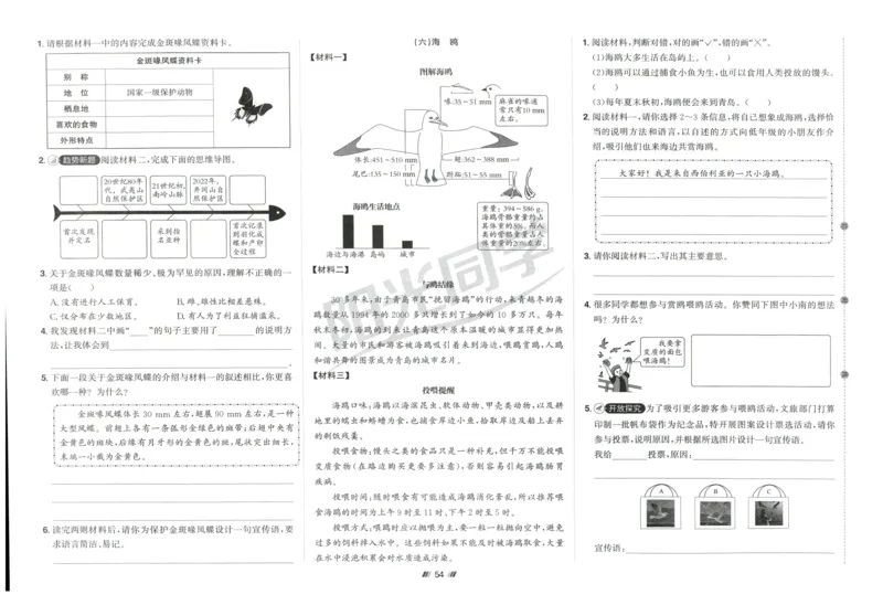 五年级语文上册人教版25秋《阳光同学提优新卷》提优新卷_25秋小学语数英习题试卷_语文_语文《阳光同学提优新卷》_五年级语文上册人教版25秋《阳光同学提优新卷》