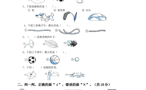 教科版一年级《科学》上册检测测卷_一年级上下册资料_小学一年级学习资料-25年更新版_1-09、小学一年级科学上册_教科版_期末测试卷