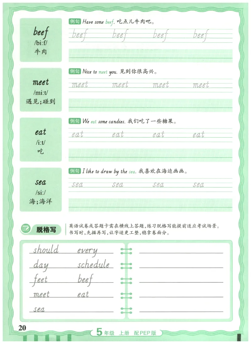 五年级英语上册人教PEP版25秋《王朝霞活页英语同步字帖》_25秋小学语数英习题试卷_英语_人教版_25秋王朝霞3-6年级上册人教版活页英语同步字帖