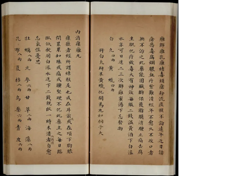 10_绝版书_天涯系列_t涯_绝版古籍电子书合集（13大类）_医书类_丸散膏丹神效十门