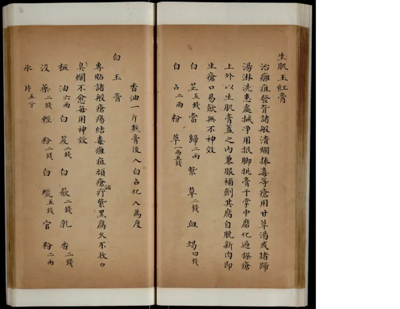 10_绝版书_天涯系列_t涯_绝版古籍电子书合集（13大类）_医书类_丸散膏丹神效十门