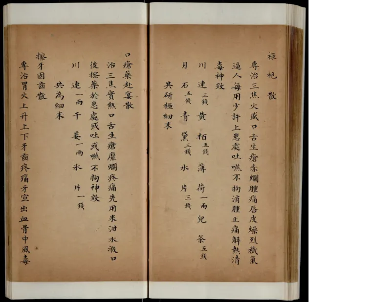 10_绝版书_天涯系列_t涯_绝版古籍电子书合集（13大类）_医书类_丸散膏丹神效十门