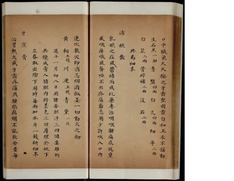 10_绝版书_天涯系列_t涯_绝版古籍电子书合集（13大类）_医书类_丸散膏丹神效十门