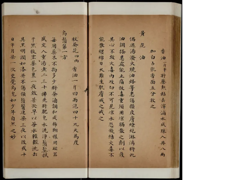 10_绝版书_天涯系列_t涯_绝版古籍电子书合集（13大类）_医书类_丸散膏丹神效十门