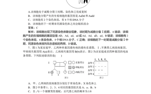 专练45_2025高中教辅（后续还会更新新习题试卷）_2025高中全科《微专题&middot;小练习》_2025高中全科《微专题小练习》_2025版&middot;微专题小练习&middot;生物学&middot;