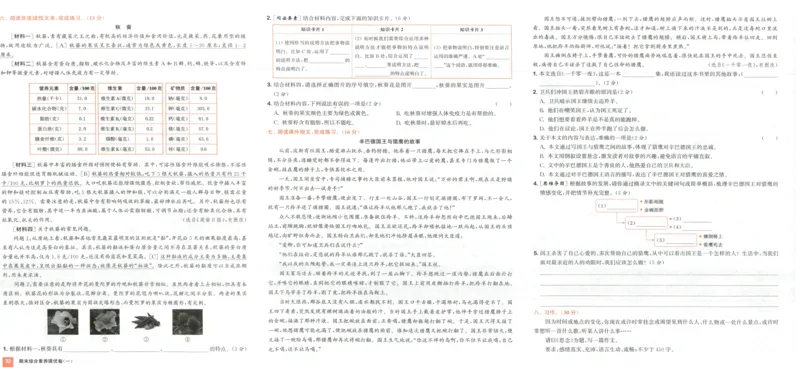 五年级语文上册人教版25秋《拔尖大试卷》_25秋小学语数英习题试卷_语文_1-6年级语文上册人教版25秋《拔尖大试卷》