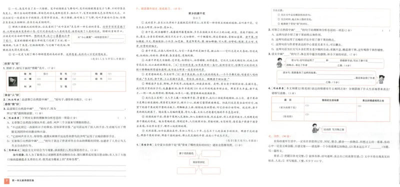 五年级语文上册人教版25秋《拔尖大试卷》_25秋小学语数英习题试卷_语文_1-6年级语文上册人教版25秋《拔尖大试卷》