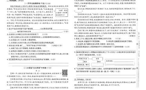 三年级语文上册人教版25秋《期末试卷》_25秋小学语数英习题试卷_语文_《期末试卷》语文1-6年级上册（25秋）