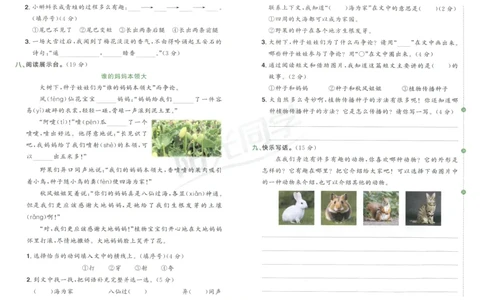 二年级语文上册人教版25秋《阳光同学提优新卷》_25秋小学语数英习题试卷_语文_语文《阳光同学提优新卷》_二年级语文上册人教版25秋《阳光同学提优新卷》