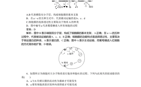 专练14_2025高中教辅（后续还会更新新习题试卷）_2025高中全科《微专题&middot;小练习》_2025高中全科《微专题小练习》_2025版&middot;微专题小练习&middot;生物学&middot;不定项