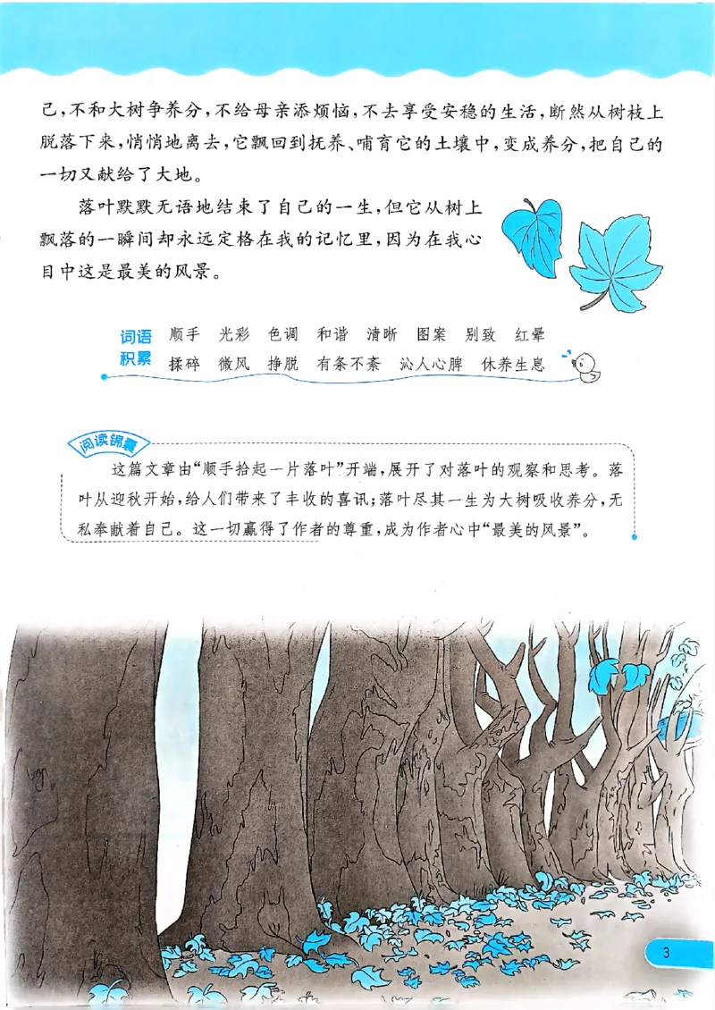 实验班寒假衔接21天晨诵晚读打卡语文三年级_三年级上下册资料_53黄冈多个品牌系列资料_语文