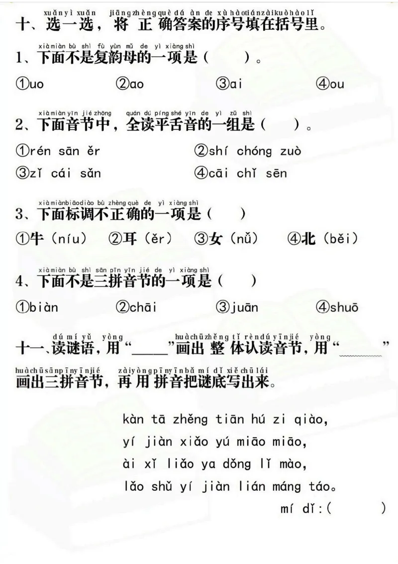 一语上拼音重点专项通关测试卷_一年级上下册资料_一年级上册小红书同款资料_一年级上册资料