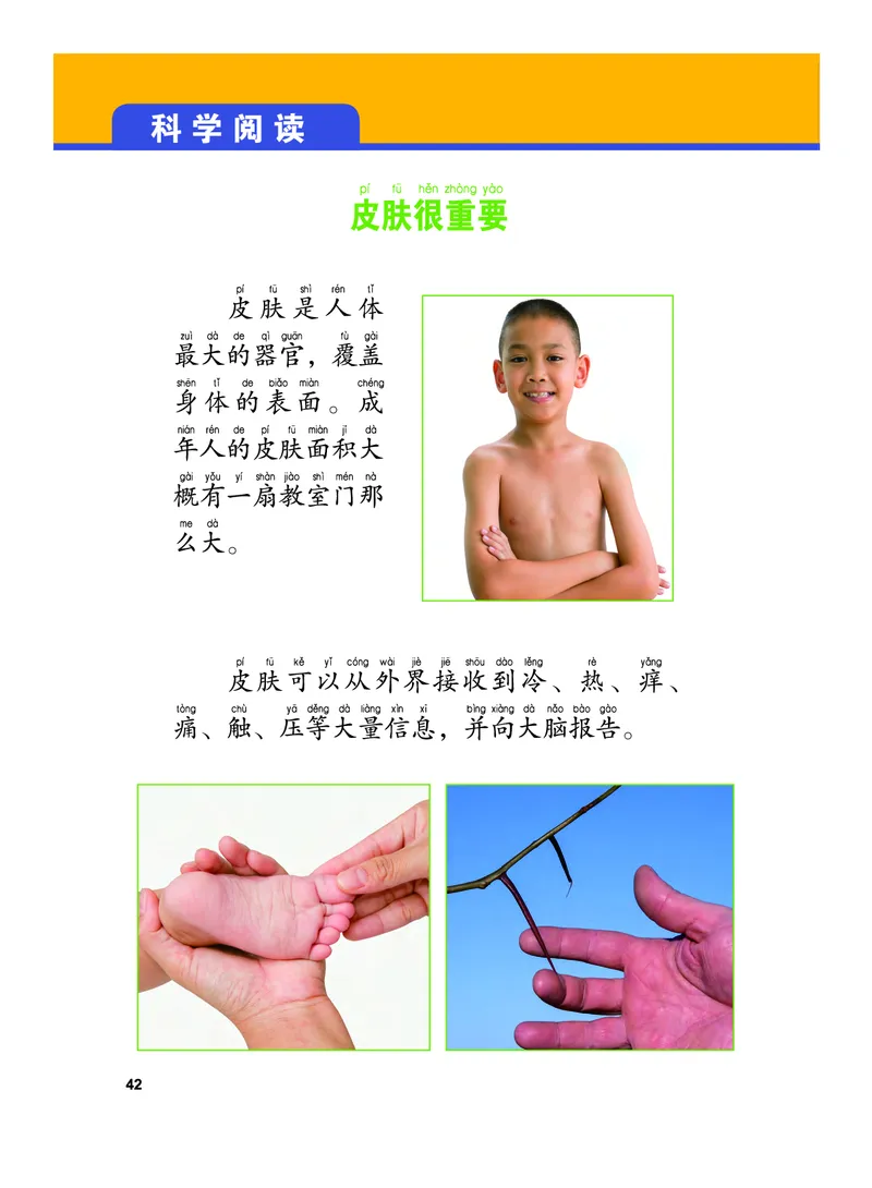 义务教育教科书&middot;科学二年级下册（教科版）_二年级上下册资料_小学二年级学习资料-25年更新版_2-10、小学二年级科学下册_教科版_电子教材