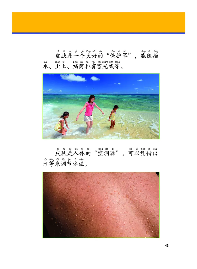 义务教育教科书&middot;科学二年级下册（教科版）_二年级上下册资料_小学二年级学习资料-25年更新版_2-10、小学二年级科学下册_教科版_电子教材