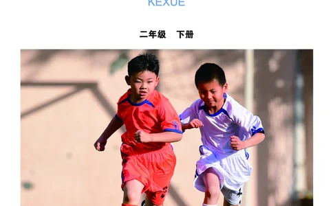 义务教育教科书&middot;科学二年级下册（教科版）_二年级上下册资料_小学二年级学习资料-25年更新版_2-10、小学二年级科学下册_教科版_电子教材