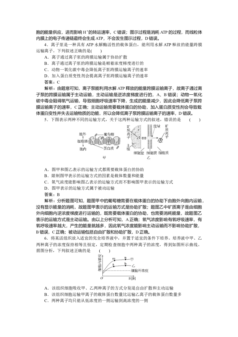 专练13_2025高中教辅（后续还会更新新习题试卷）_2025高中全科《微专题&middot;小练习》_2025高中全科《微专题小练习》_2025版&middot;微专题小练习&middot;生物学&middot;