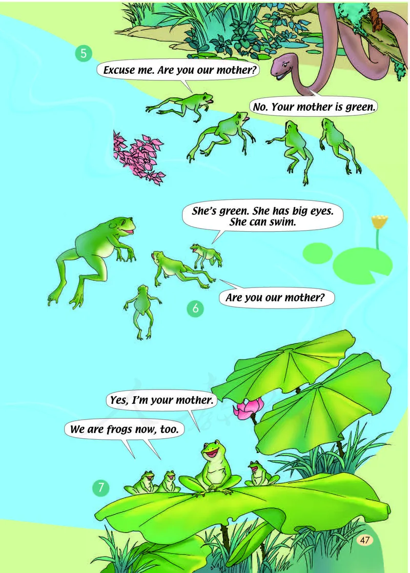 义务教育教科书&middot;英语（一年级起点）三年级下册（人教新起点）_三年级上下册资料_小学三年级学习资料-25年更新版_3-06、小学三年级英语下册_3-6-3、电子教材、课本